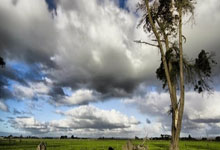 竞技宝：解析巴薩錯失居勒爾簽約3關鍵因素：轉會費、傭金與球員註冊.