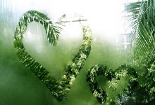 马利斯卡稳坐「车」.